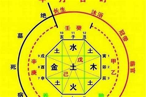 八字五行喜用神|八字喜用神查询